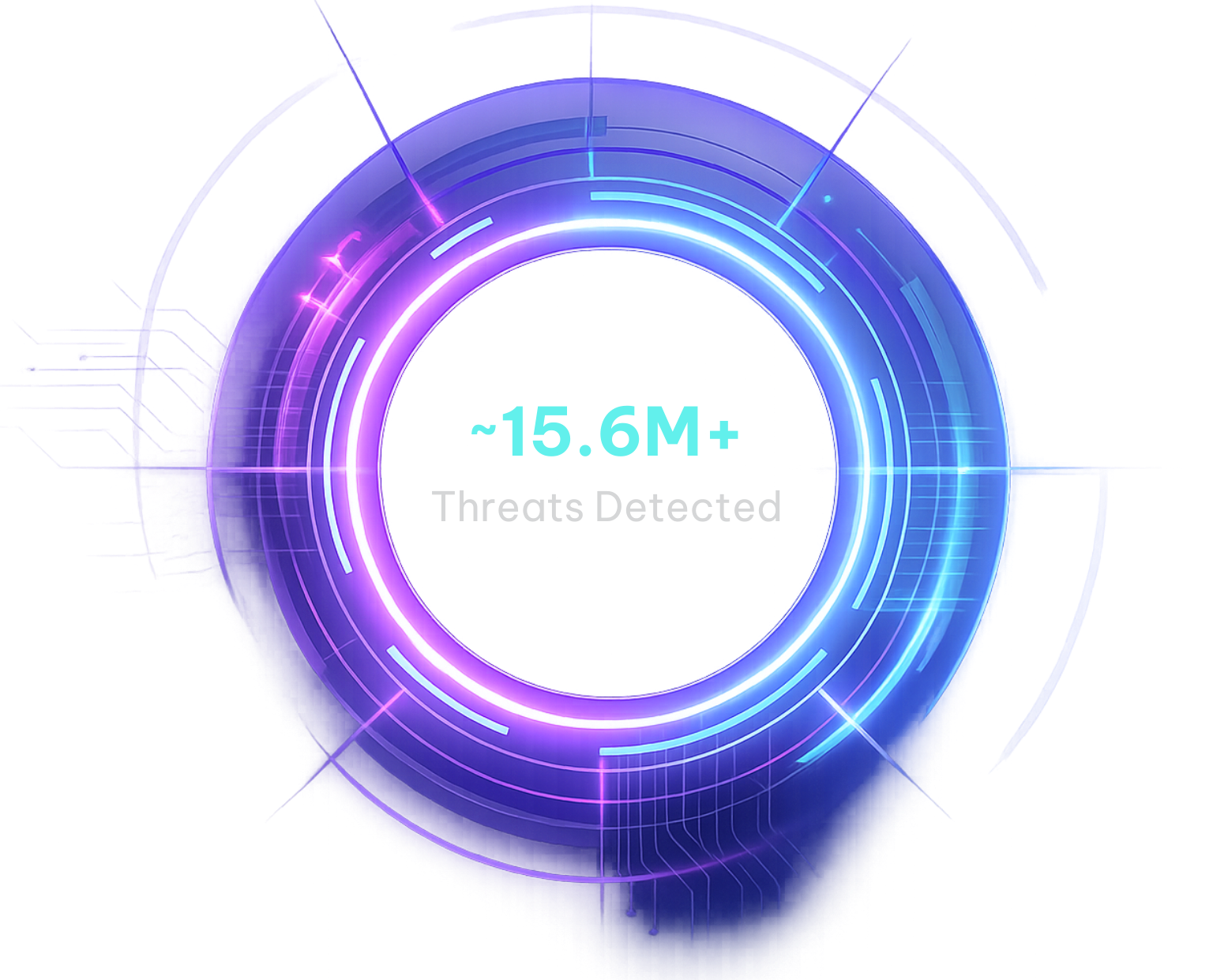 Vulnerability Detection